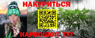 jwh Кингисепп