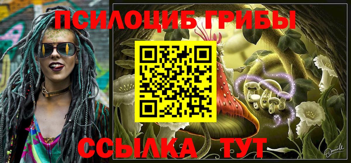 Галлюциногенные грибы GOLDEN TEACHER  Вход с VPN  Псилоцибиновые грибы Magic Shrooms  закладки  Конаково 