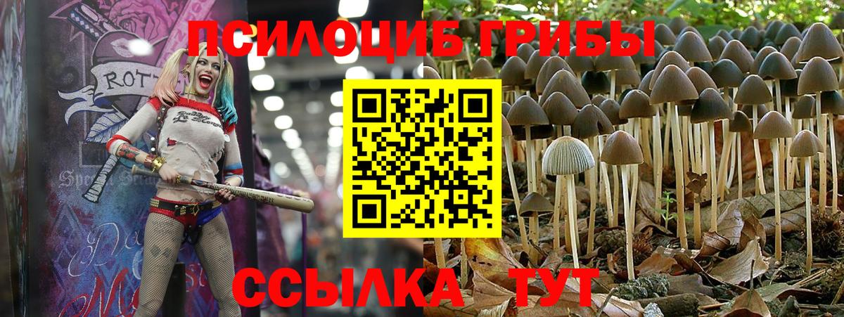 Галлюциногенные грибы ЛСД Конаково